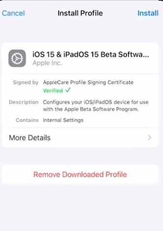 Remove Mdm Using Settings