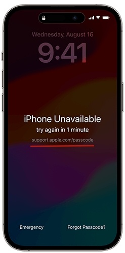 Repeated Wrong Passcode Shows Forgot Option