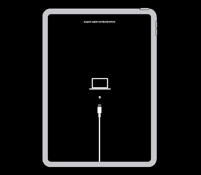 Restore Wipes Ipad and Reinstalls Ipados 1