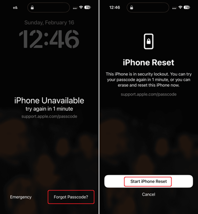 start phone reset