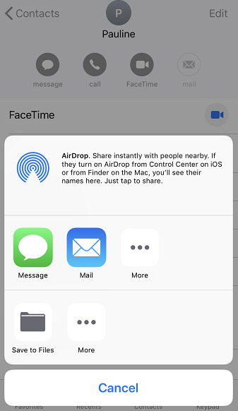 Global Watch: How to Share Contacts Between iPhones