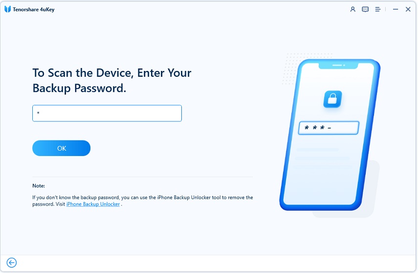 enter backup password to start scanning password