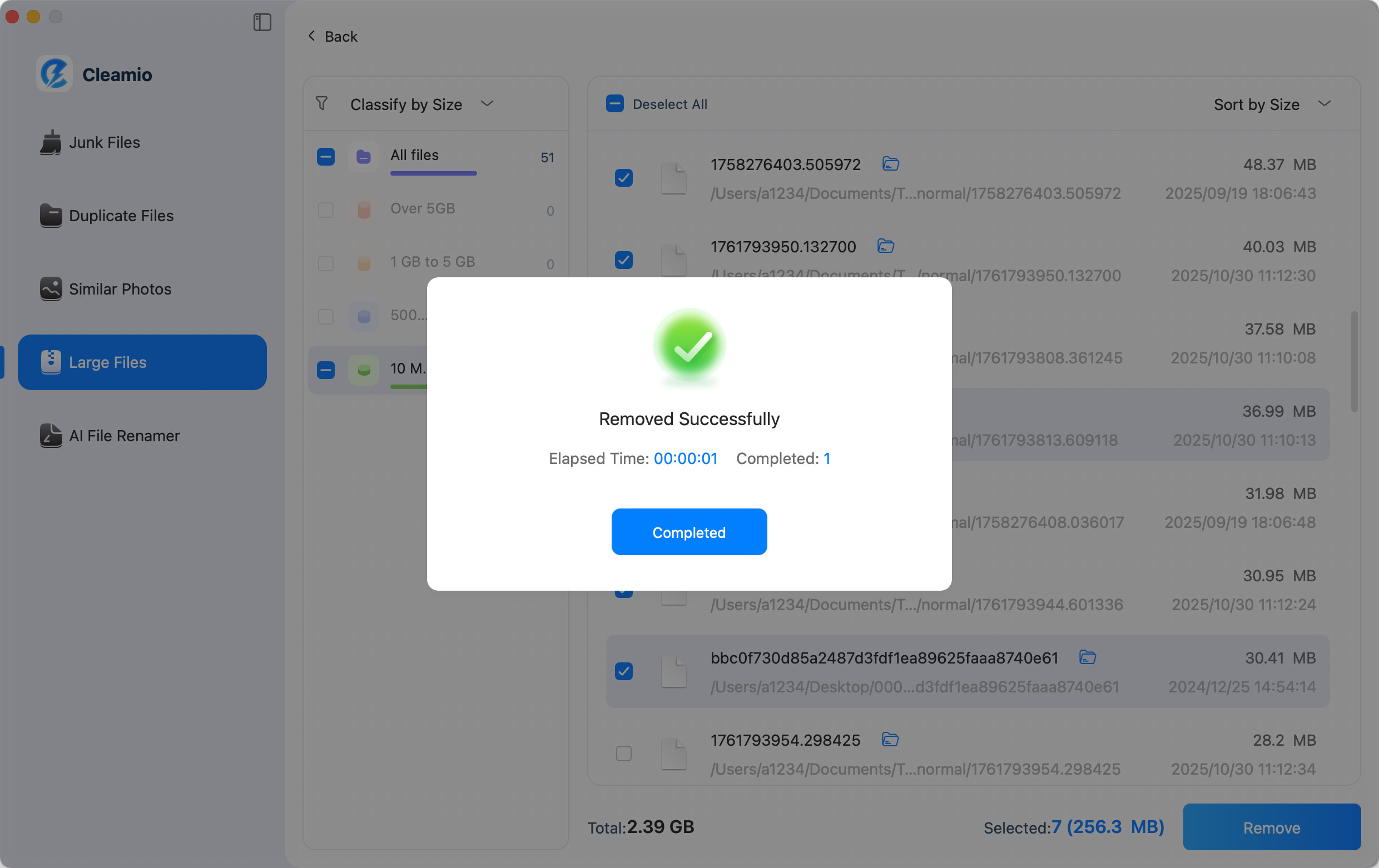 removed large files successfully