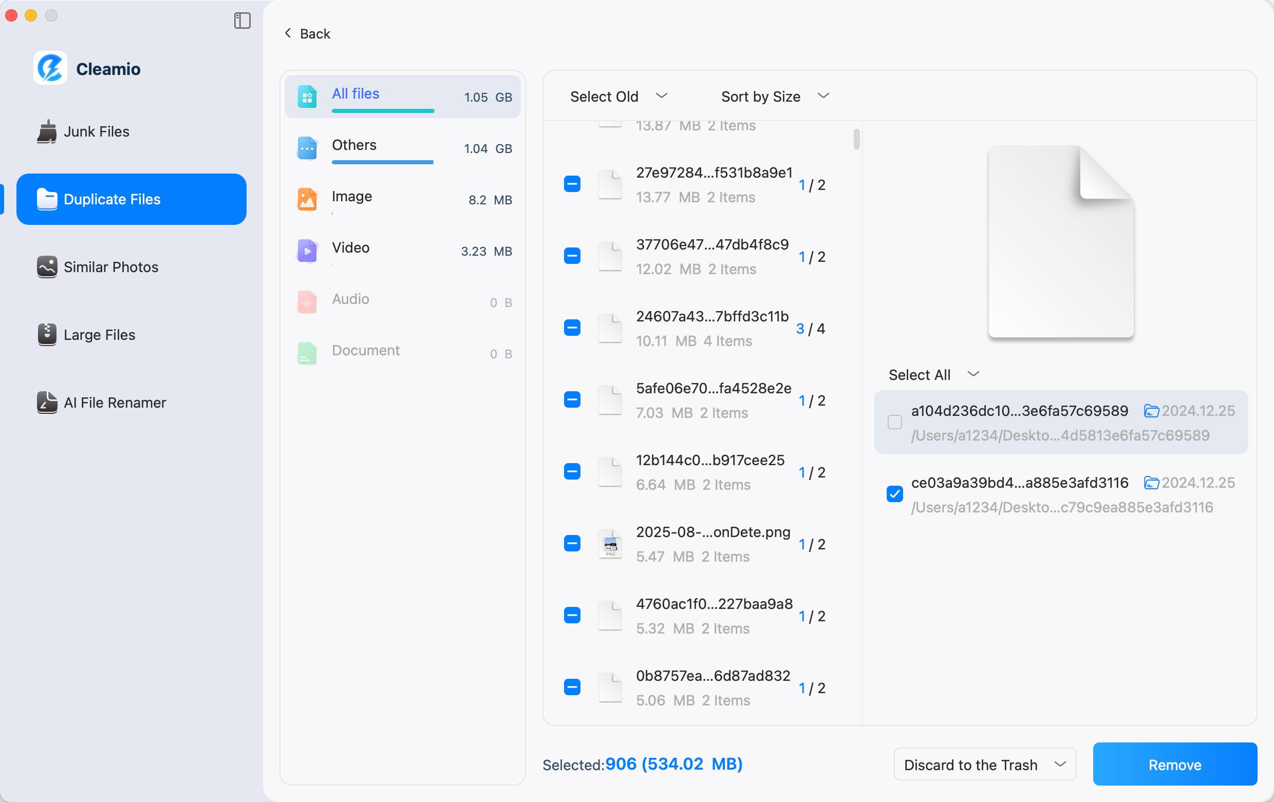 review duplicate files scanned
