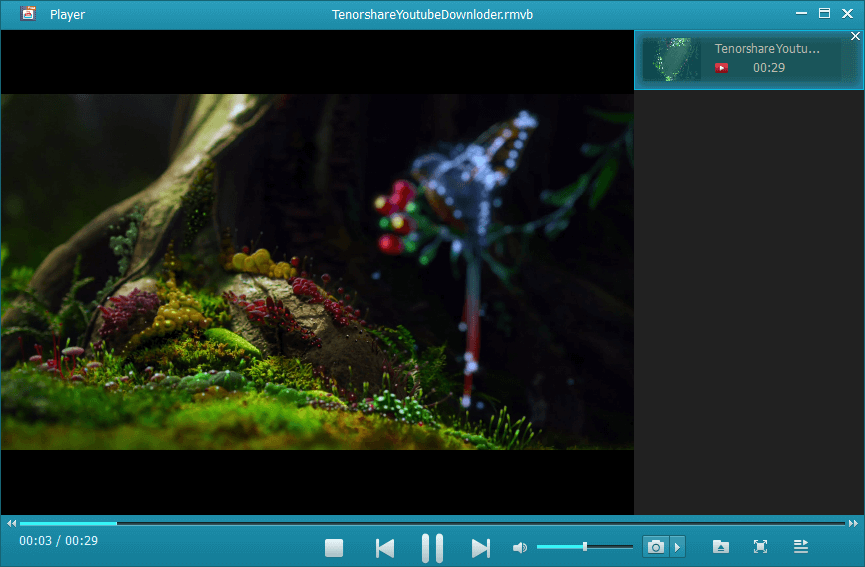 free download videos from youtube