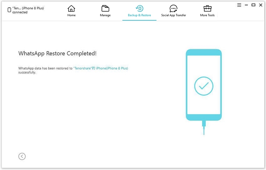 iphone-whatsapp-restore-completed