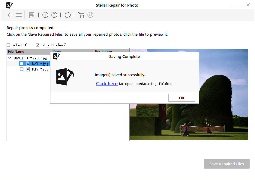 image saved successfully stellar repair for photo