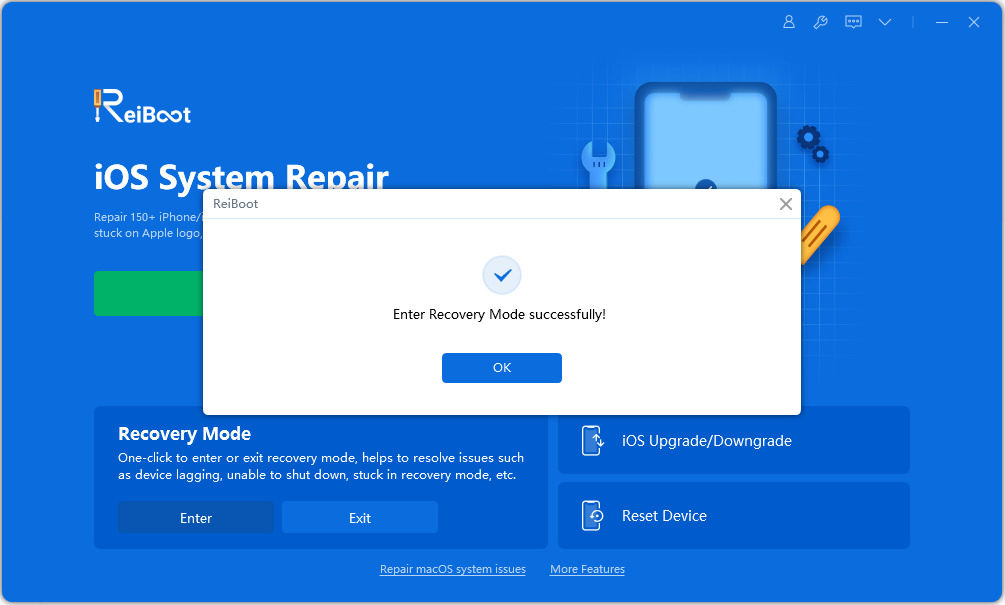 entrato correttamente nella modalità di recupero