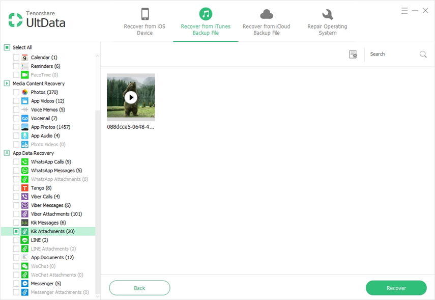 preview backup file