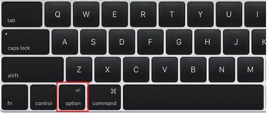 option key mac