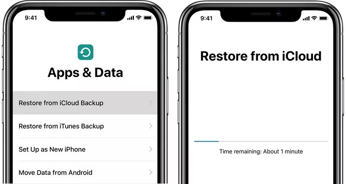 press the restore from icloud