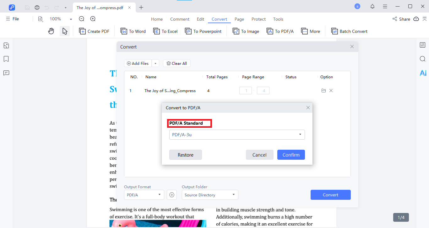 convert to pdf/a settings