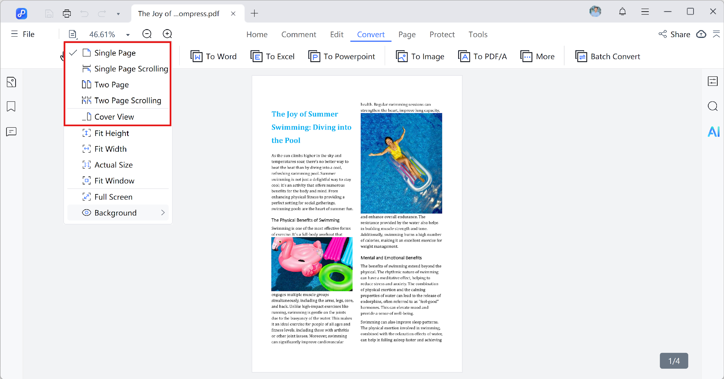 page display mode