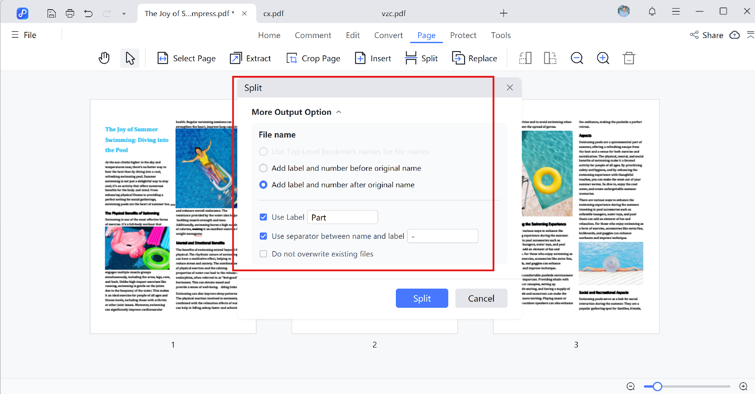 split page file name