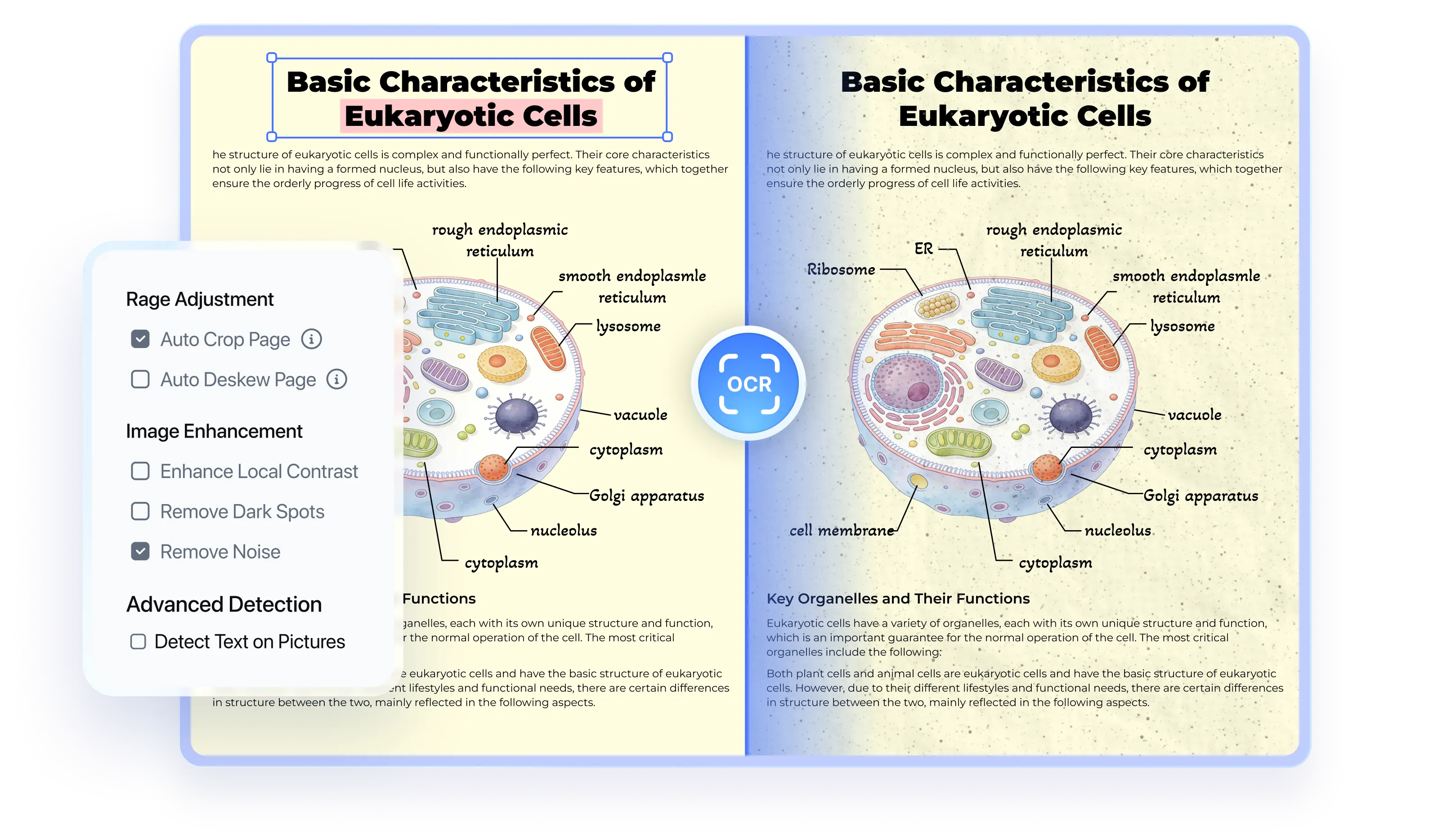 pdnob pdf editor ocr pdf