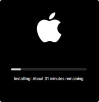 reiboot not working for ipad recovery