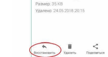 программа Dumpster