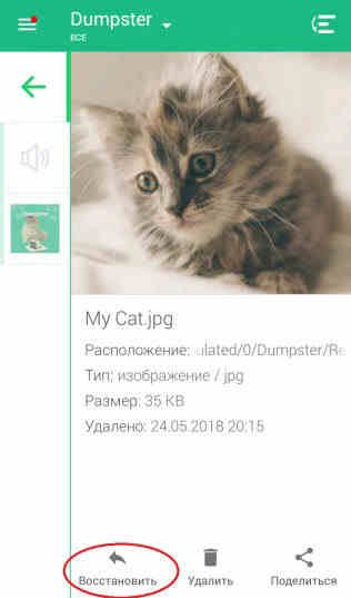 корзина dumpster