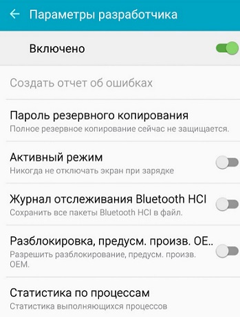 Параметры разработчика