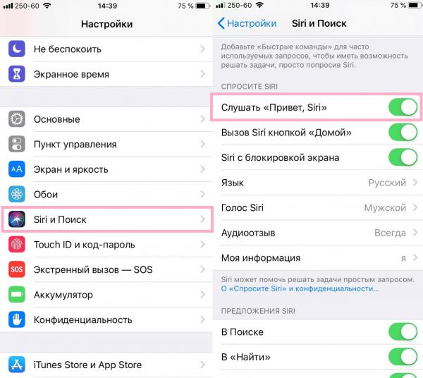 Привет Siri