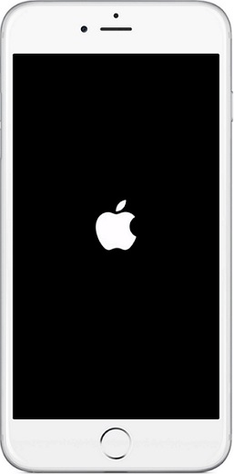 застрял на белом яблочный