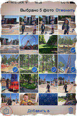  выбрано 5 фото