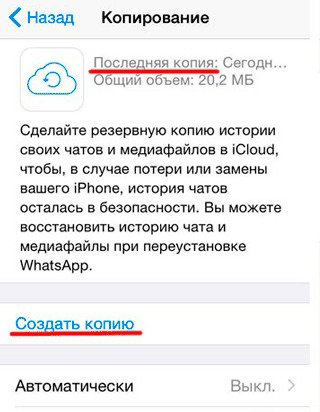 как восстановить удаленный чат ватсап на айфоне из icloud