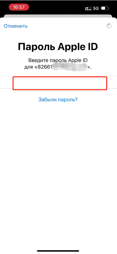 Введите свой пароль Apple ID