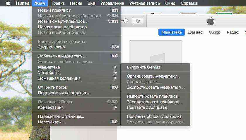 медиатека