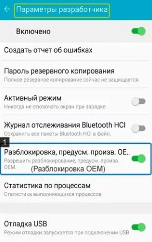 Открыть настройки разработчика