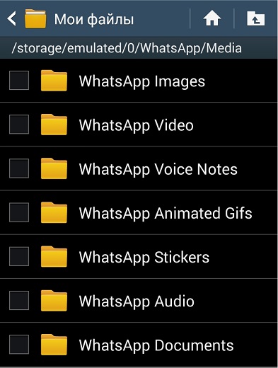 файлы WhatsApp