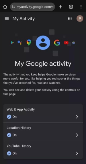 my google activity interface