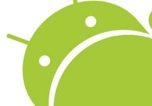 android bugs