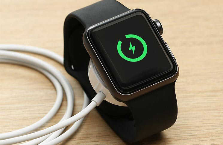 apple watch charging snake screen