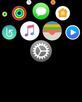 reset apple watch