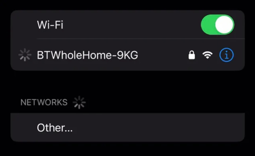 Check your network connection