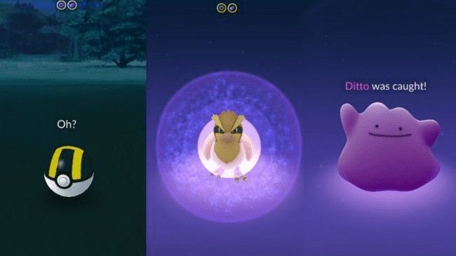 HOT] How to Catch Ditto in Pokémon GO in October 2023