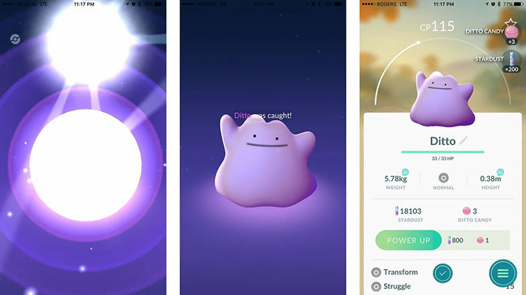 How to Find Ditto in August 2023 in Pokemon Go #pokemongo #shorts 