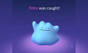 Pokémon Go: How to catch Ditto in 2023 - Video Games on Sports Illustrated
