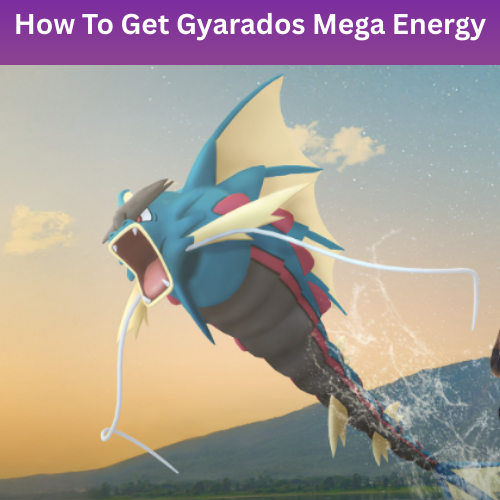 megagyardosdariadawe-2