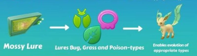 “alt= mossy lure evolution”