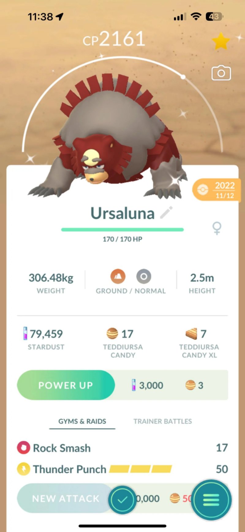 pokemon-typeabilitiesand-strengths