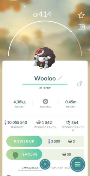 Shiny Woolo