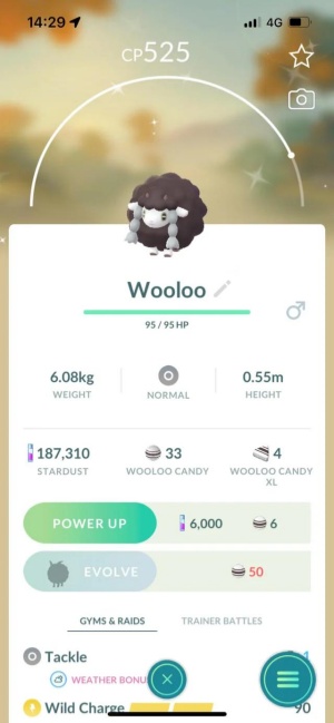 50 Candy Wooloo in Pokemon GO