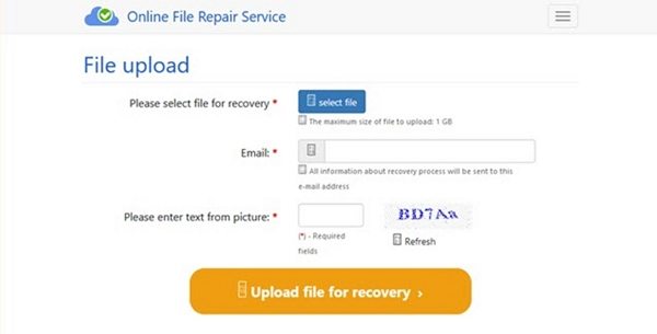 online file repair service