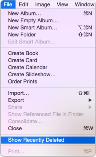 show recently deleted