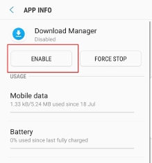 enable download managers