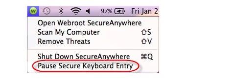 pause secure keyboard entry