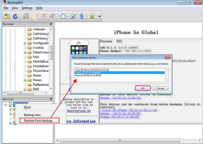 restrictions passcode recovery
