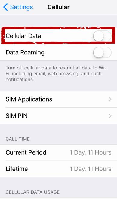 cellular data